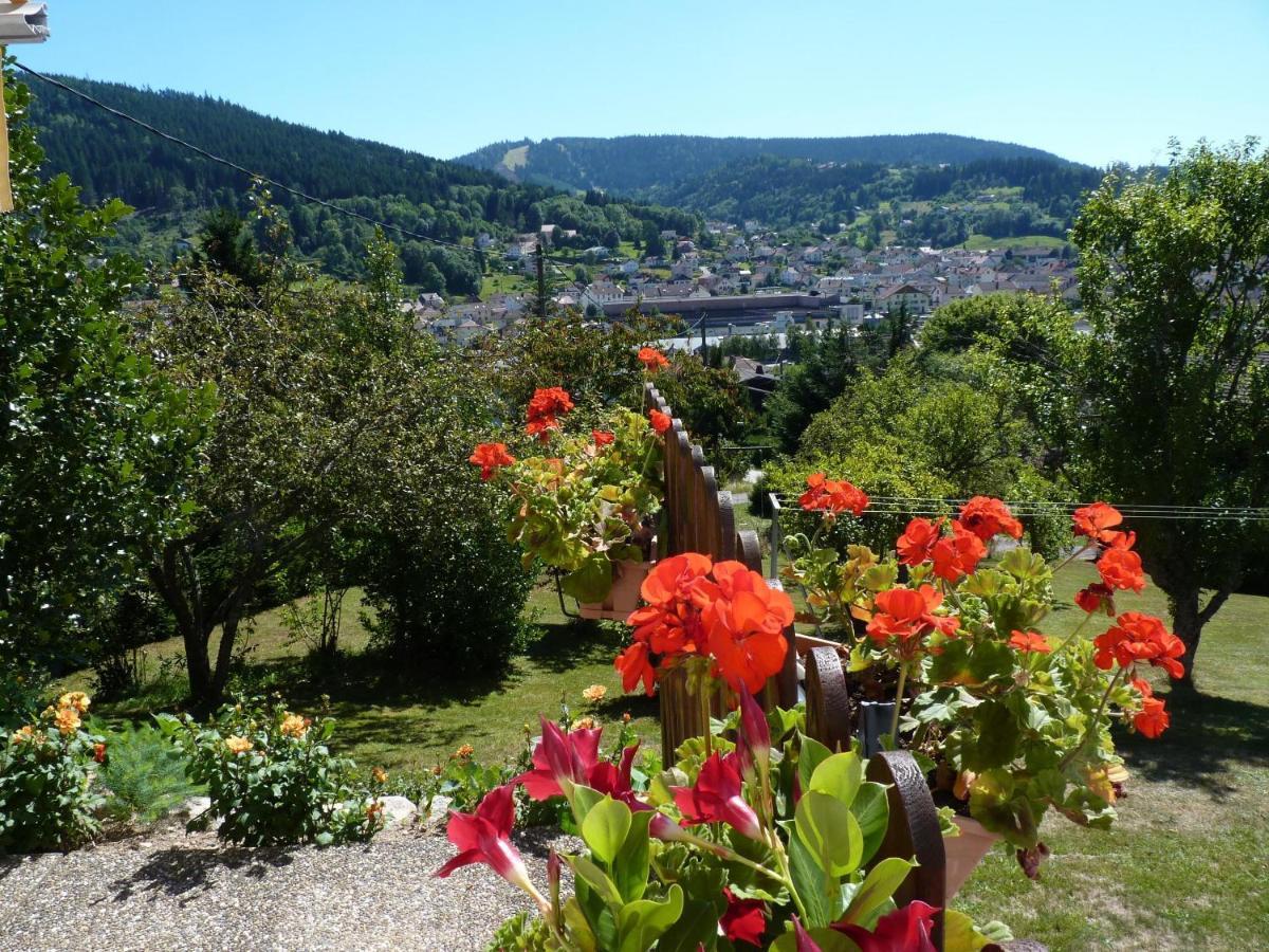 La Maison Bel'Air Gérardmer Exterior foto